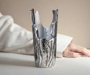 Ashen Crown