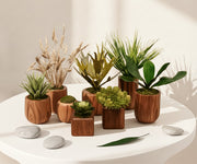 Botanic Ensemble