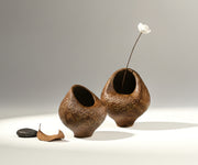Cocoa Pods