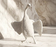 Dove Love 4