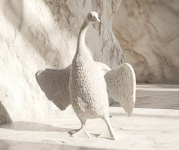 Dove Love 4