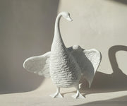 Dove Love 1