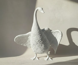 Dove Love 1