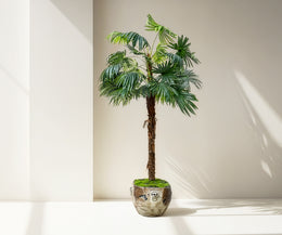 Grecian Planter