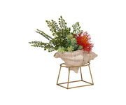 Seashell Verdent