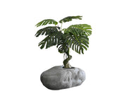 Cloud Planter
