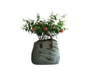 Bag Planter