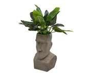 Urban Planter