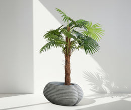 Macetero Planter