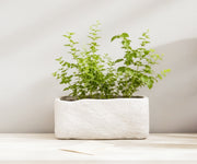 Riverstone Block Planter