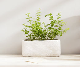 Riverstone Block Planter