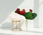 Seashell Floral