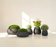 Stone planter (Set of 5)