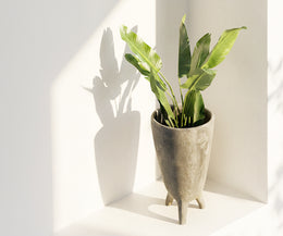 Udder Planter (Medium)