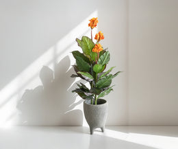 Udder Planter (Small)